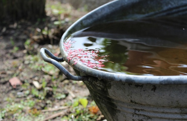 Hydroking.hu - 2025 február - LinkMarketing - 2.jpg