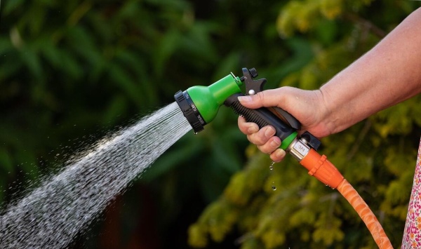 Szezonrafel.hu - 2025 szeptember - Cikk 4.jpg