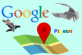 Google-pigeon.png